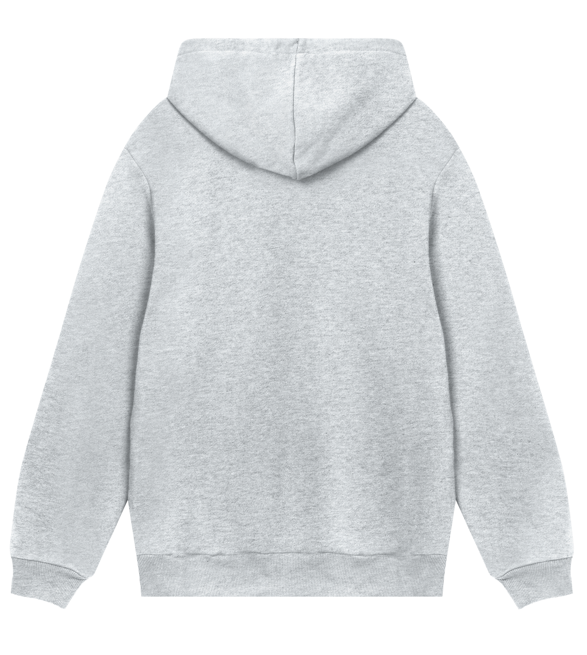 Fuji hoodie